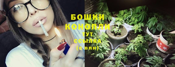 наркотики Бородино