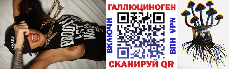 shop какой сайт  Ершов  Галлюциногенные грибы Psilocybine cubensis  купить наркоту 